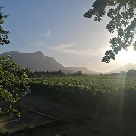 Lynx Wine Estate-2
