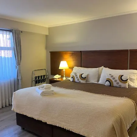 Hotel D&V Concepción-2