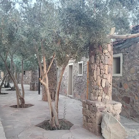 Fox Camp Farag-2