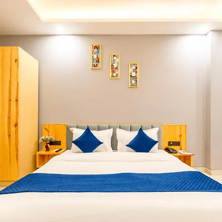Hotel Sr Palace, 5 Mins From Igi & Domestic Airport Delhi-3
