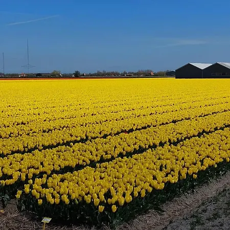 Bij van der Veer-2