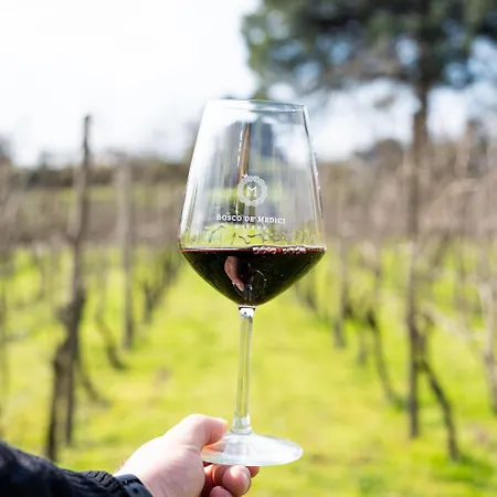Resort & Winery Bosco De Medici-3