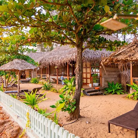 The Bay Agonda-2