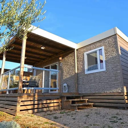 Camp Rehut-2