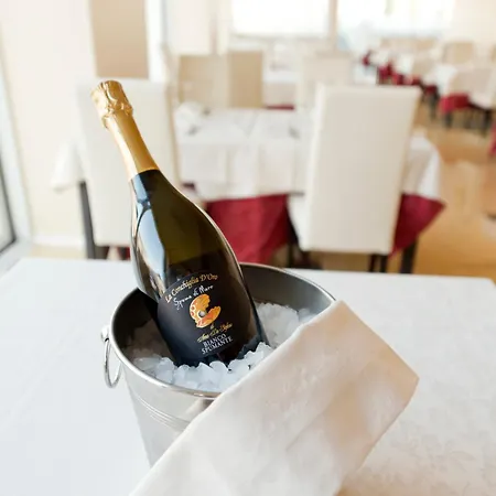 Palace Hotel&SPA La CONCHIGLIA D' ORO-2