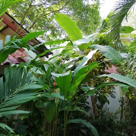 Funky Monkey Lodge-3