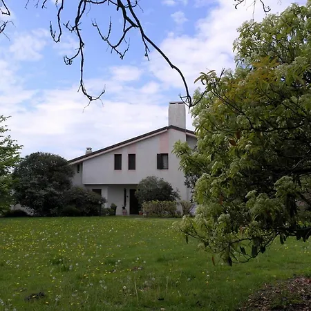 B&B Villa Elisa-3