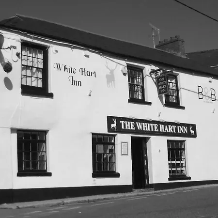 White Hart Inn-2