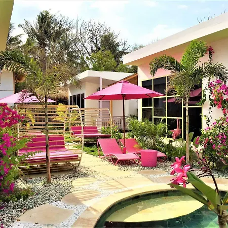 Flamingo-2