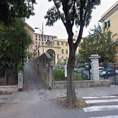 Piume Verdi-2