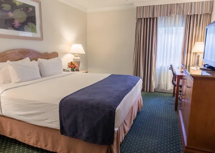 Maison Dupuy Hotel New Orleans