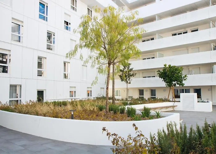 Twenty Business Flats Nice Angely