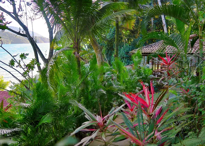 Atlantica Jungle Lodge