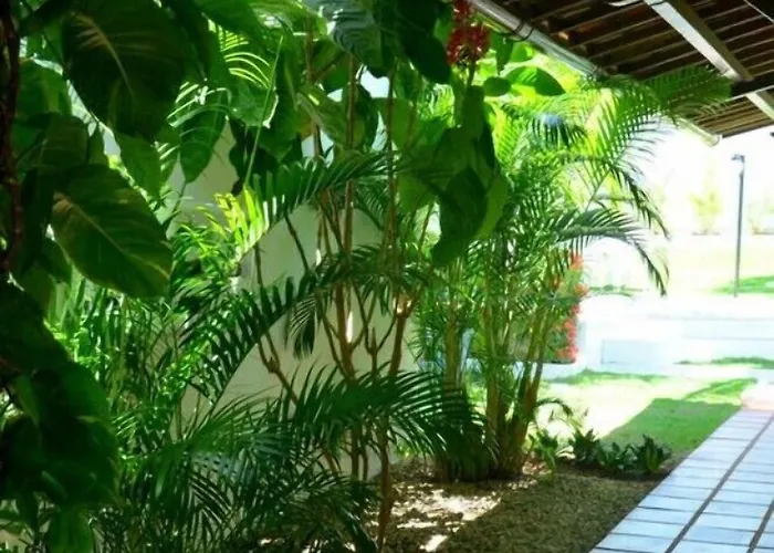 Pousada Do Beija Flor Conde 