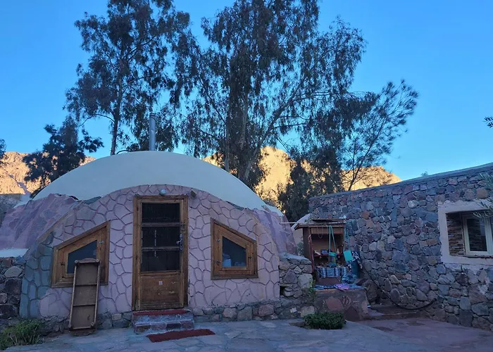 Fox Camp Farag