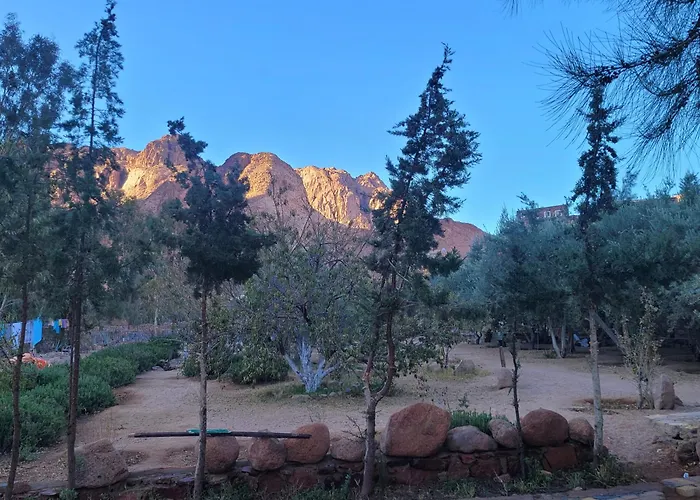 Fox Camp Farag